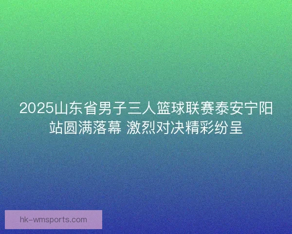 2025山东省男子三人篮球联赛泰安宁阳站圆满落幕 激烈对决精彩纷呈